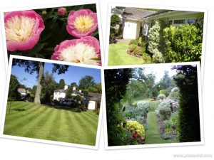 Nick Meade - All Seasons Gardening interview 3