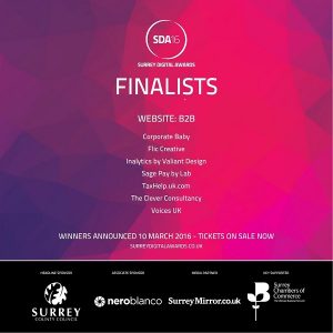 B2B Website finalists SDA2016